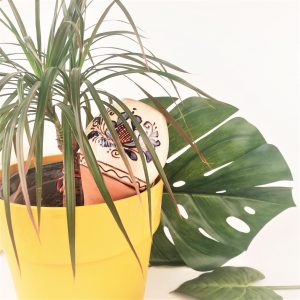 Vas ceramic lucrat manual pentru udat plantele - model traditional Corund verde